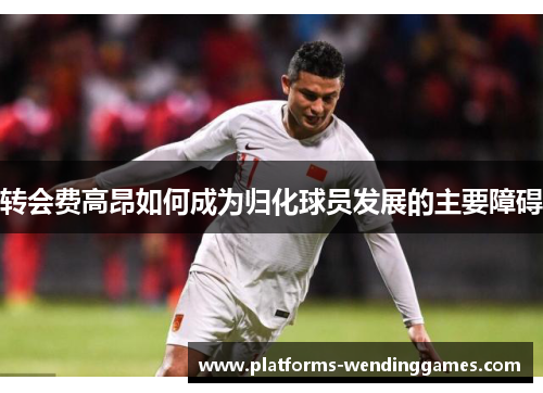 转会费高昂如何成为归化球员发展的主要障碍