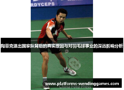 陶菲克退出国家队背后的真实原因与对羽毛球事业的深远影响分析