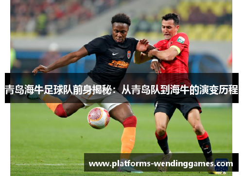 青岛海牛足球队前身揭秘：从青岛队到海牛的演变历程
