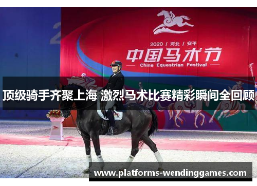 顶级骑手齐聚上海 激烈马术比赛精彩瞬间全回顾