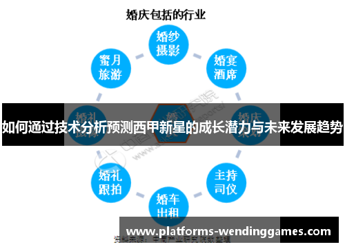 如何通过技术分析预测西甲新星的成长潜力与未来发展趋势