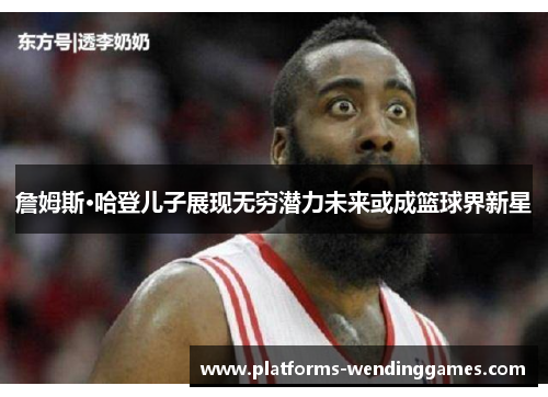 詹姆斯·哈登儿子展现无穷潜力未来或成篮球界新星