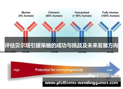 评估贝尔塔引援策略的成功与挑战及未来发展方向